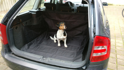 hund im kofferraum